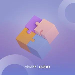 Odoo Addon Bundle Pack